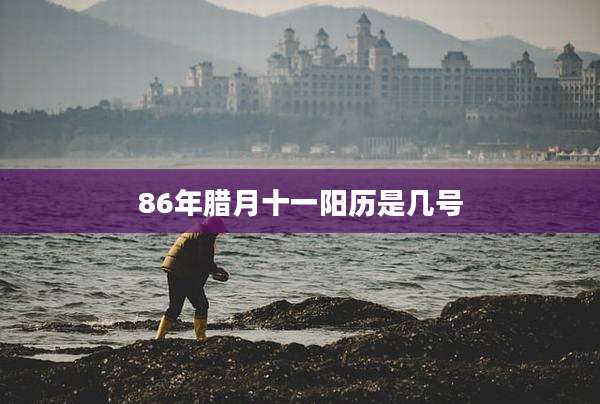 86年腊月十一阳历是几号