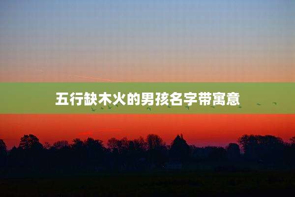 五行缺木火的男孩名字带寓意