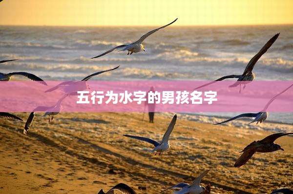 五行为水字的男孩名字