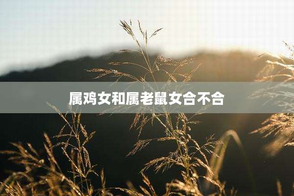 属鸡女和属老鼠女合不合