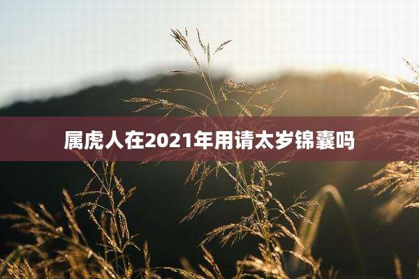 属虎人在2021年用请太岁锦囊吗