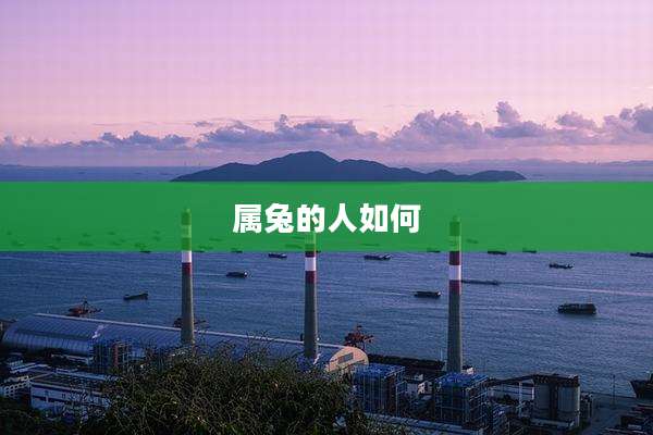 属兔的人如何