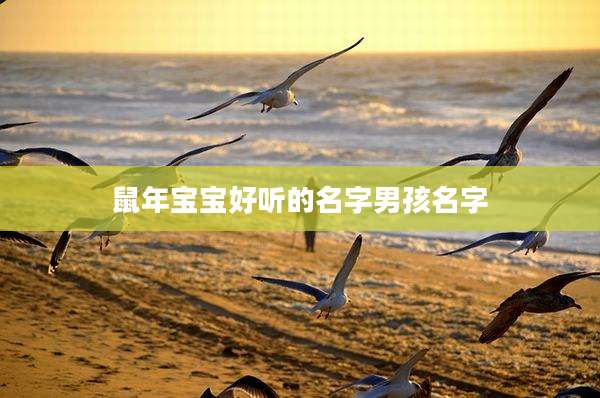 鼠年宝宝好听的名字男孩名字