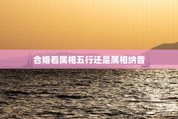 合婚看属相五行还是属相纳音