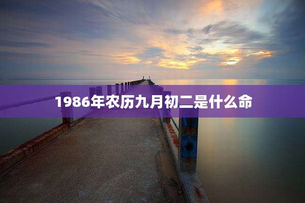 1986年农历九月初二是什么命