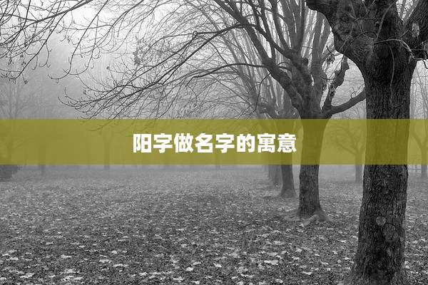阳字做名字的寓意