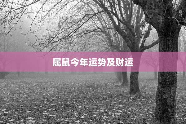 属鼠今年运势及财运