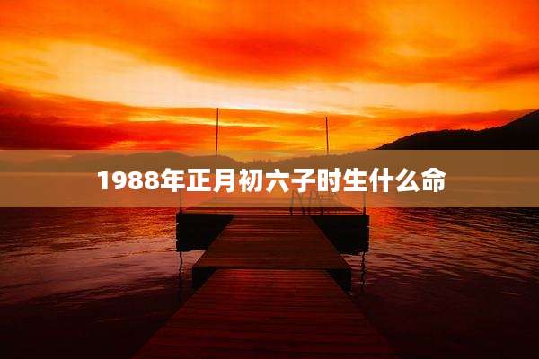 1988年正月初六子时生什么命