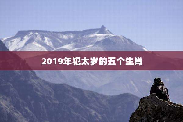 2019年犯太岁的五个生肖