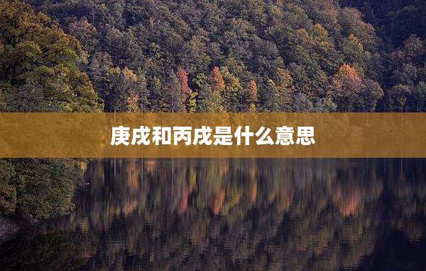 庚戌和丙戌是什么意思