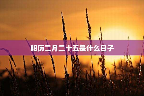 阳历二月二十五是什么日子