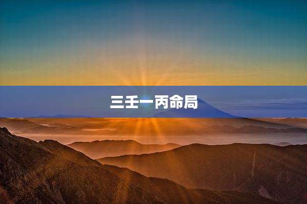 三壬一丙命局
