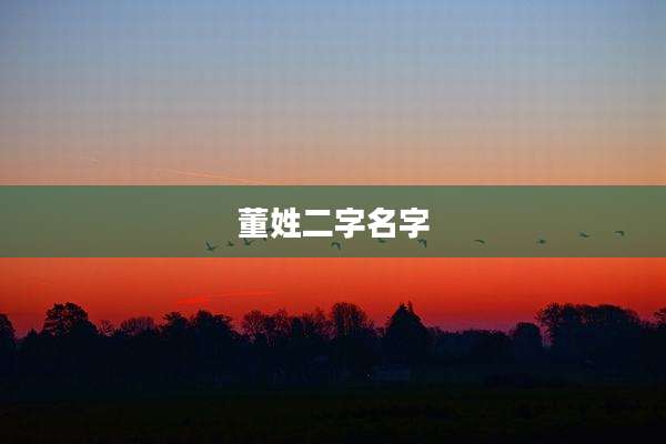 董姓二字名字