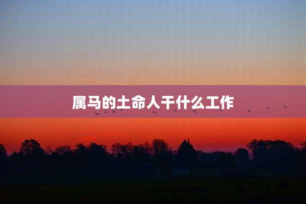 属马的土命人干什么工作