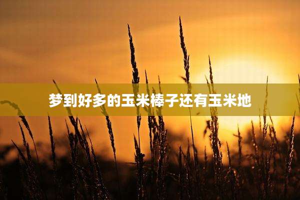 梦到好多的玉米棒子还有玉米地