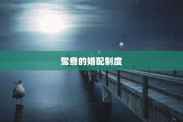 鸳鸯的婚配制度