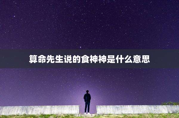 算命先生说的食神神是什么意思