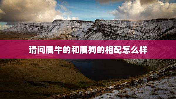 请问属牛的和属狗的相配怎么样