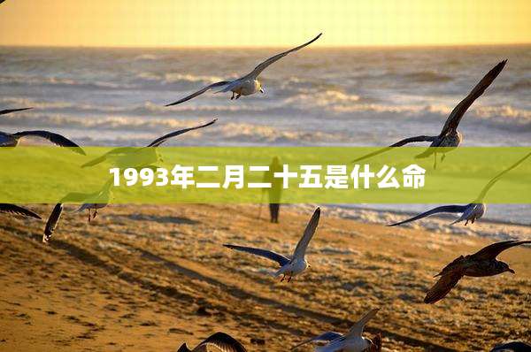1993年二月二十五是什么命