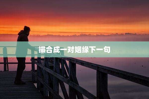 撮合成一对姻缘下一句