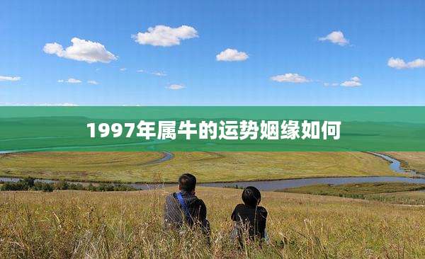 1997年属牛的运势姻缘如何