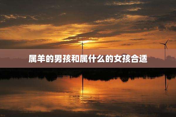 属羊的男孩和属什么的女孩合适
