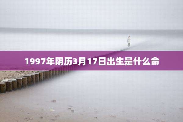 1997年阴历3月17日出生是什么命