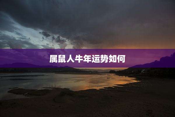 属鼠人牛年运势如何