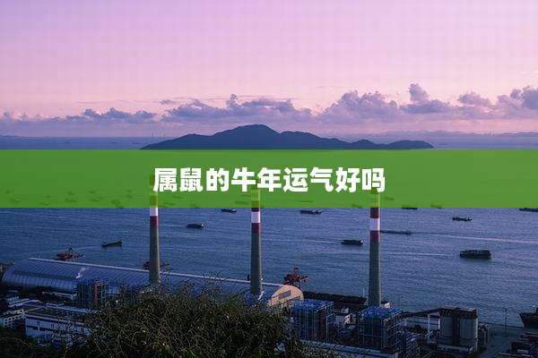 属鼠的牛年运气好吗
