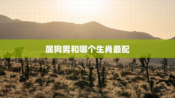 属狗男和哪个生肖最配