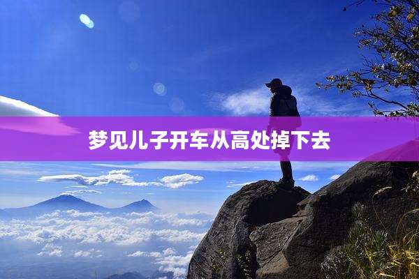 梦见儿子开车从高处掉下去