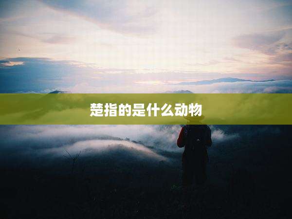 楚指的是什么动物