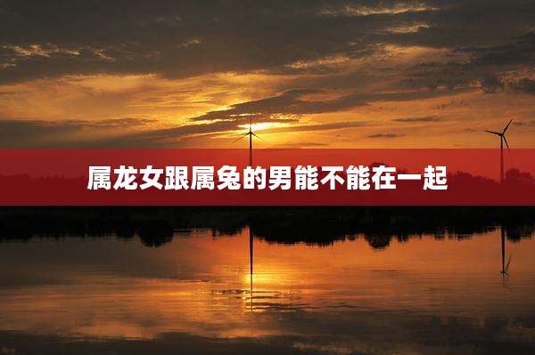 属龙女跟属兔的男能不能在一起