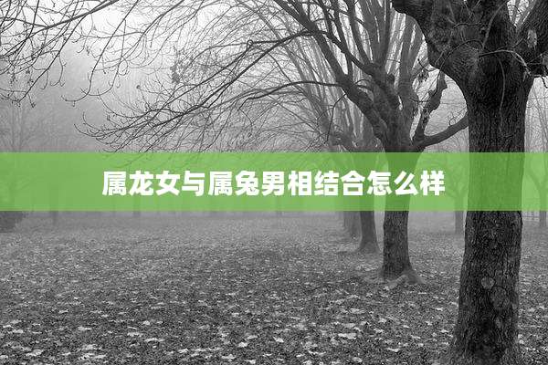 属龙女与属兔男相结合怎么样
