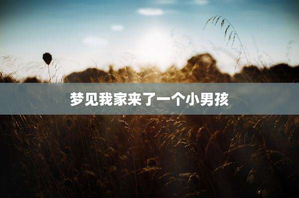 梦见我家来了一个小男孩