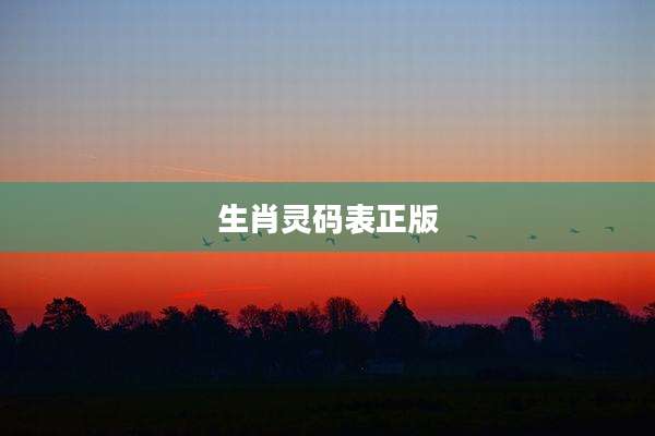 生肖灵码表正版
