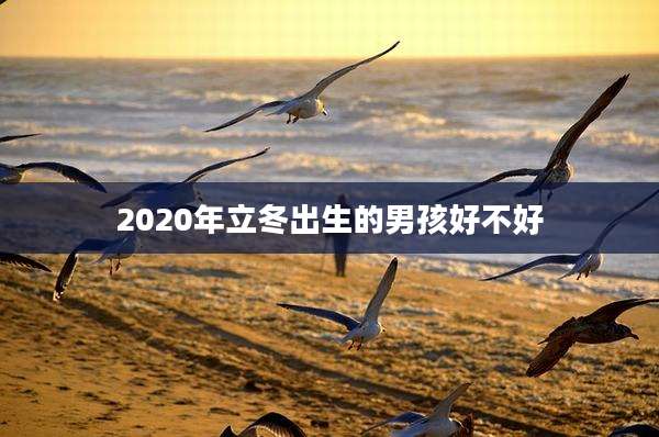 2020年立冬出生的男孩好不好