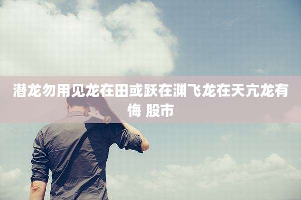 潜龙勿用见龙在田或跃在渊飞龙在天亢龙有悔 股市