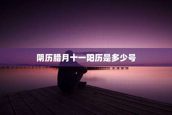 阴历腊月十一阳历是多少号
