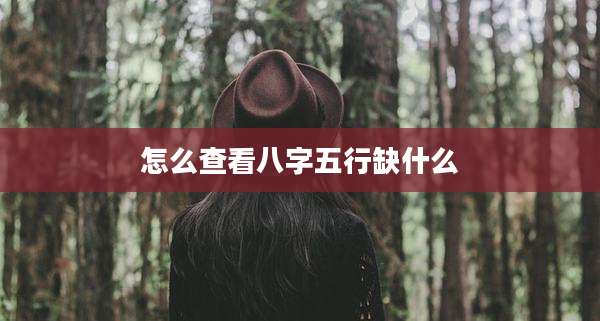 怎么查看八字五行缺什么