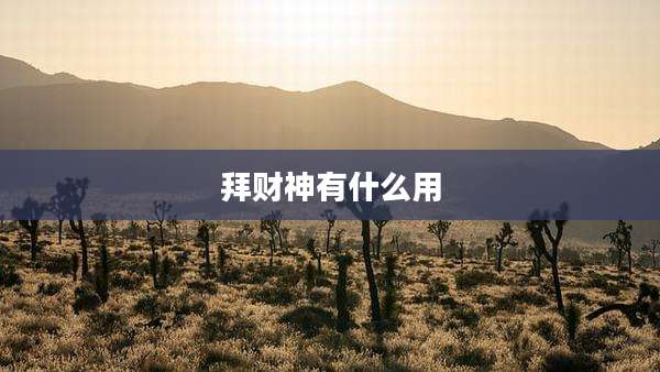 拜财神有什么用