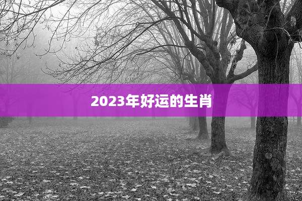 2023年好运的生肖
