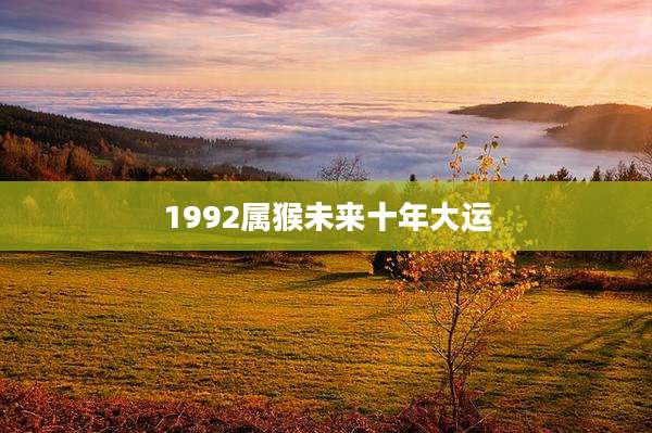1992属猴未来十年大运