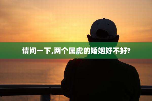 请问一下,两个属虎的婚姻好不好?