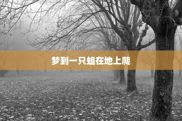 梦到一只蛆在地上爬