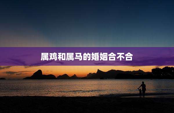 属鸡和属马的婚姻合不合