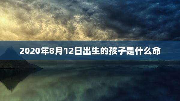2020年8月12日出生的孩子是什么命
