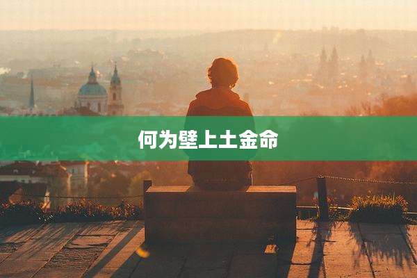 何为壁上土金命