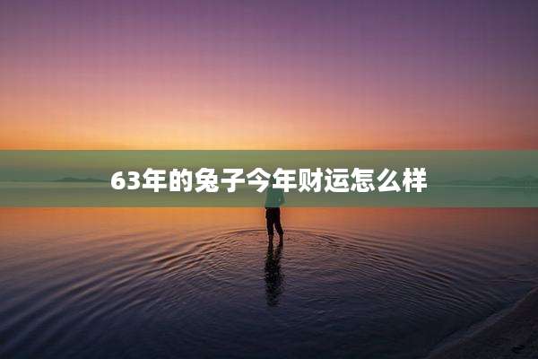 63年的兔子今年财运怎么样