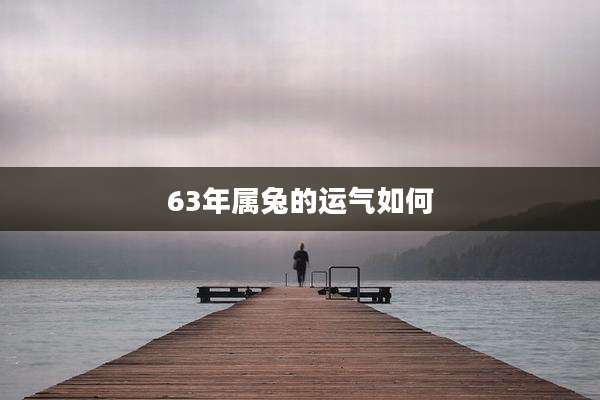 63年属兔的运气如何